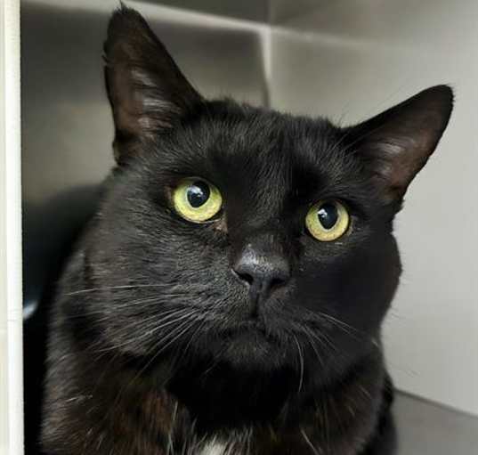 Photo of WILBUR