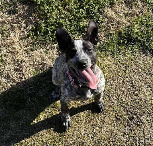 Photo of Alice