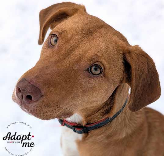 Photo of Zelda