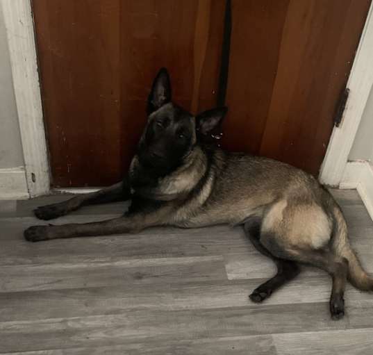 Photo of Athena