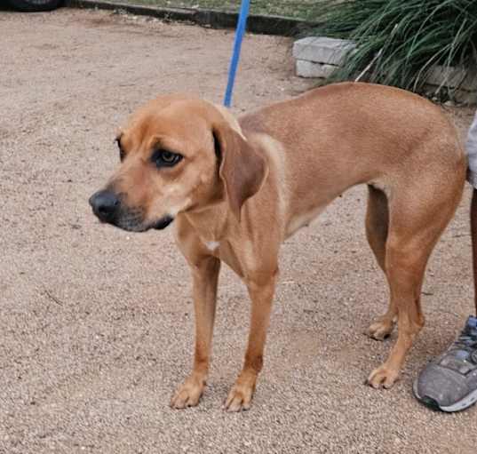 Photo of Nala