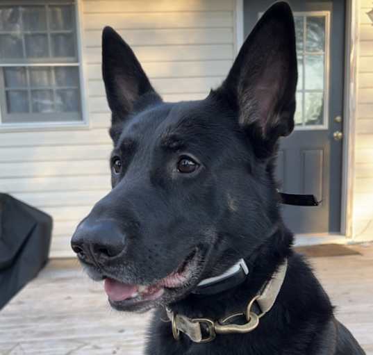 Photo of Slider