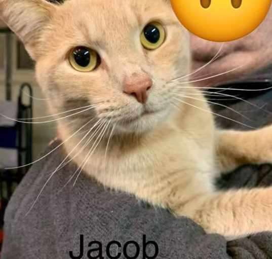 Photo of Jacob