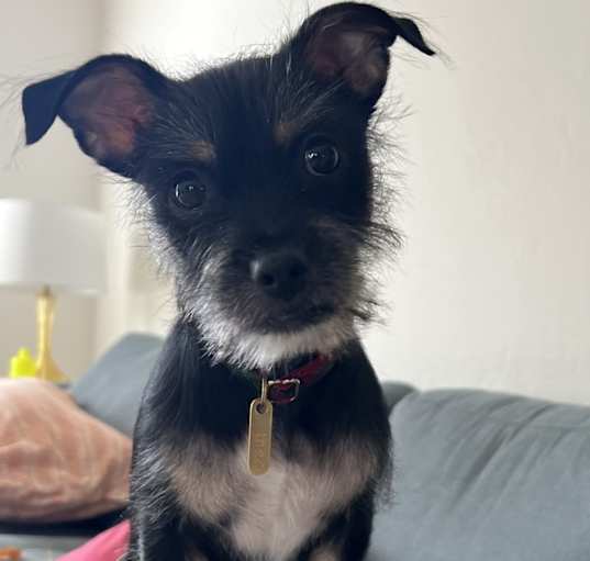 Photo of Theo