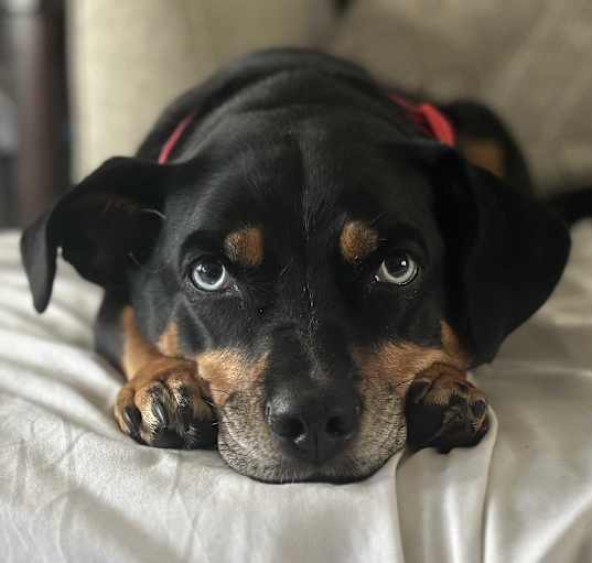 Photo of Lanie