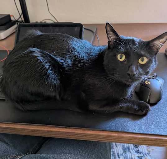 Photo of Fig