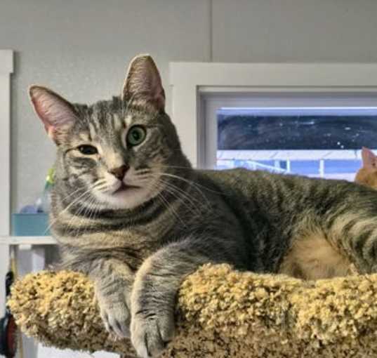 Photo of Ryder