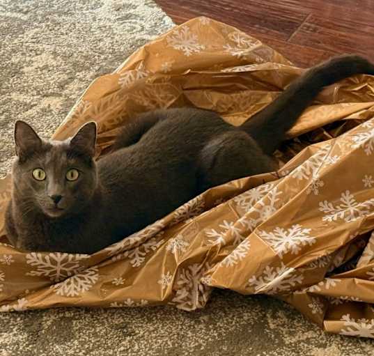 Photo of Silver