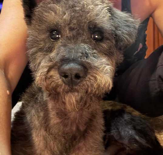 Photo of Todo
