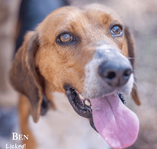 Photo of Ben @ Foster