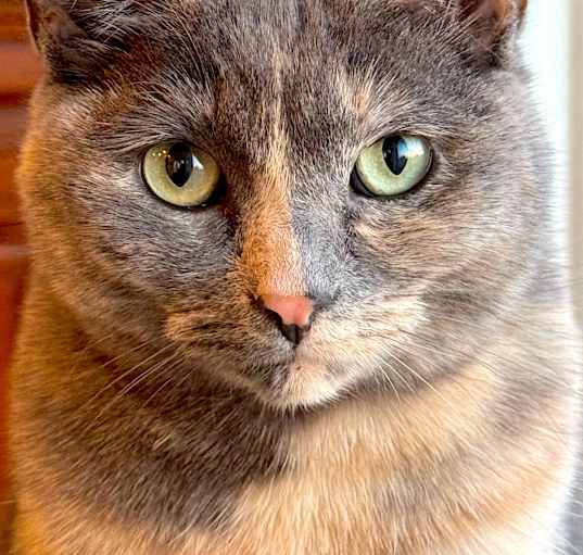 Photo of MILA