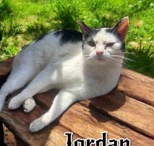 Photo of Jordan