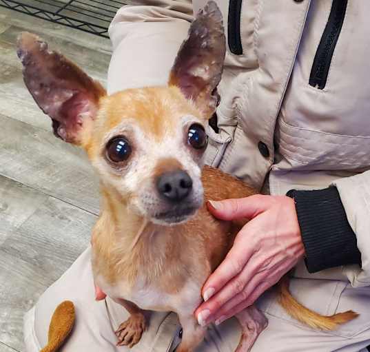 Photo of Butch