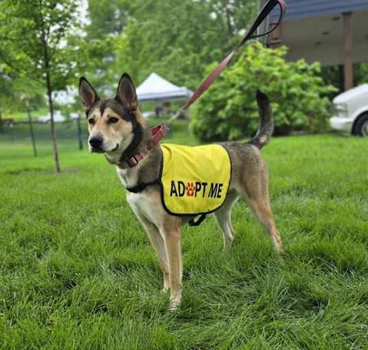 Photo of Nala