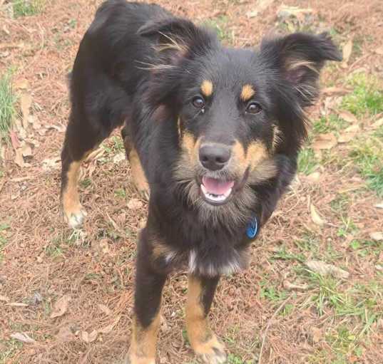 Photo of Rizzo