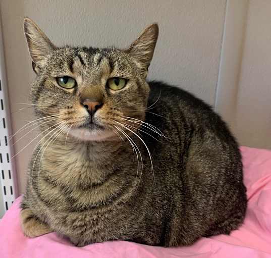 Photo of Tiberius