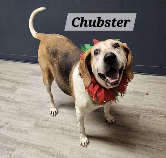 Photo of Chubster