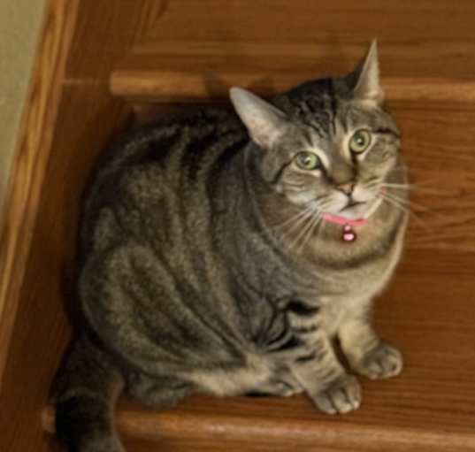 Photo of Rosy