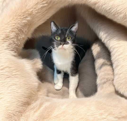 Photo of Zen