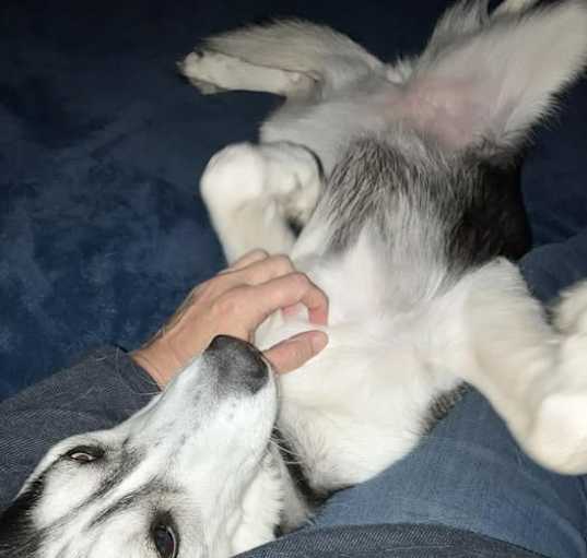 Photo of Sasha Beta