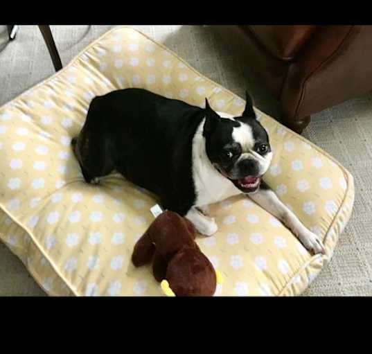 Photo of Rudy