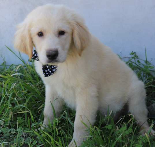 Photo of Moe
