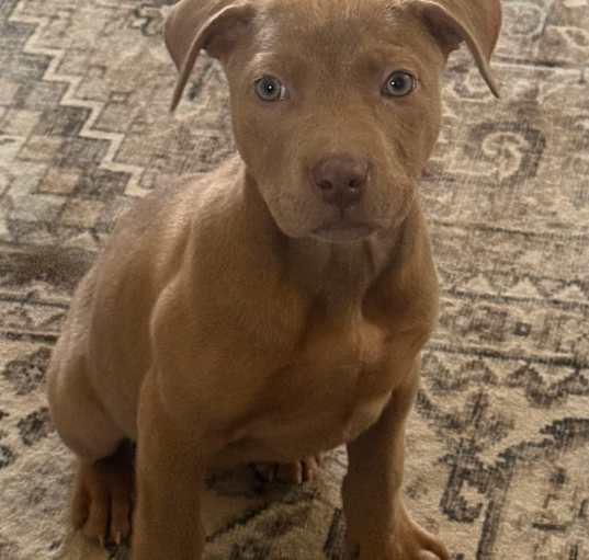 Photo of Baby