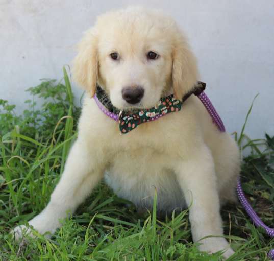 Photo of Frasier