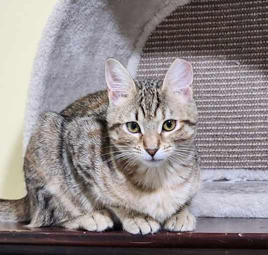 Photo of Sous