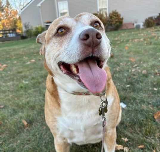 Photo of Maggie