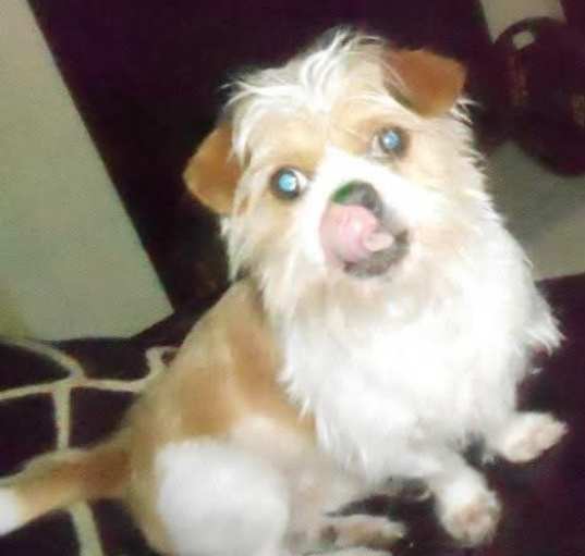 Photo of Armani