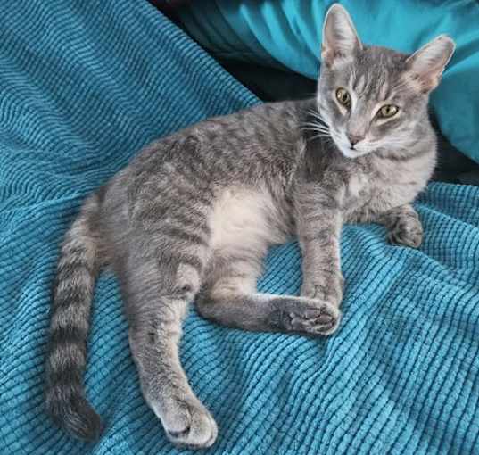 Photo of Rosemary