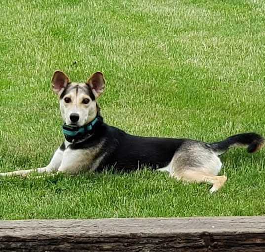 Photo of Bella