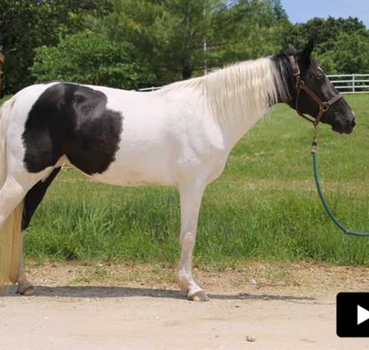 Photo of BESSY