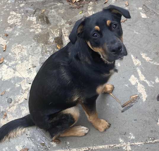 Photo of Duke