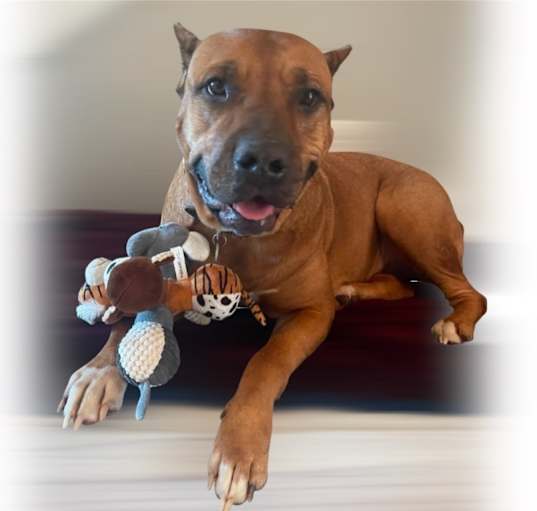 Photo of RUBY