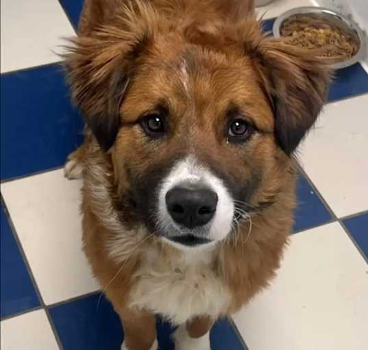 Photo of Bernie