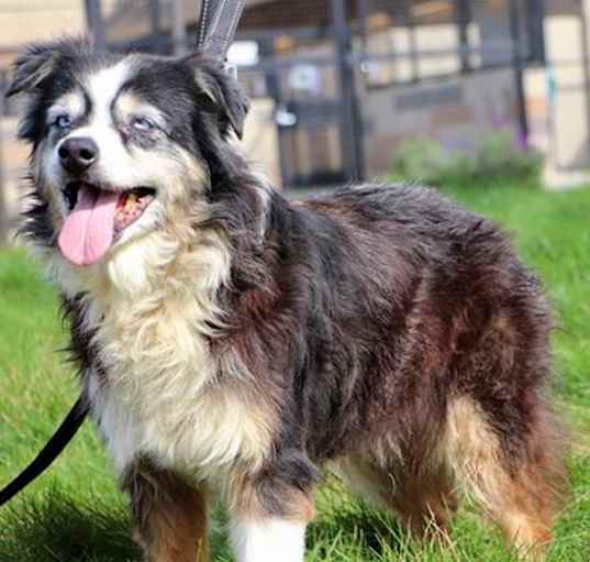 Photo of Missy T