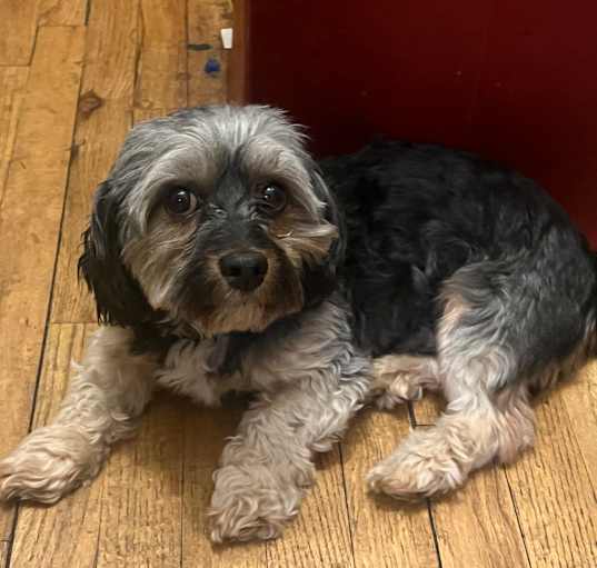 Photo of CASH