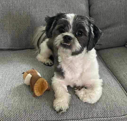 Photo of Wrigley