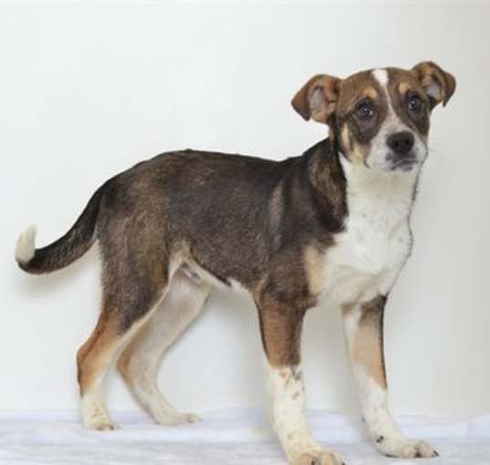 Photo of CISCO