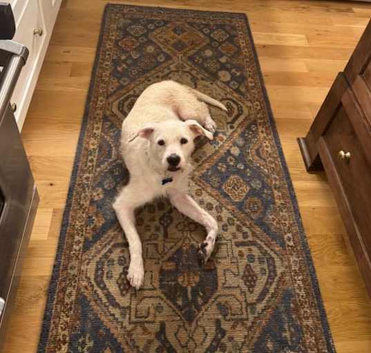 Photo of Sally