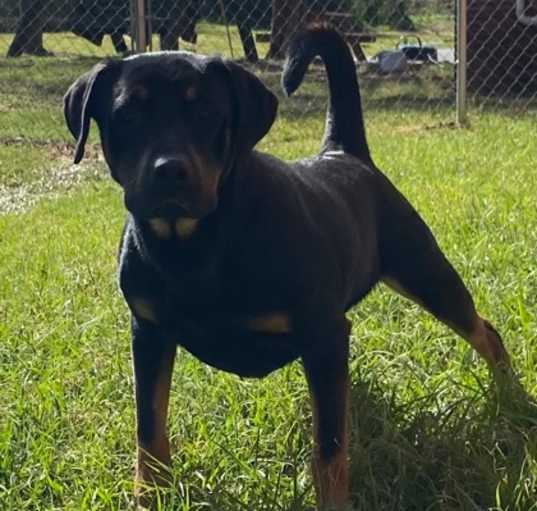 Photo of Kronos