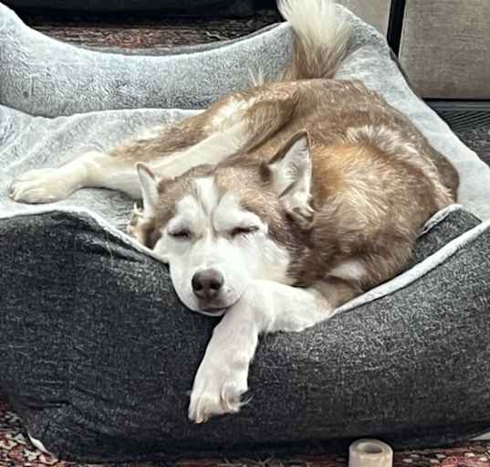 Photo of Arya