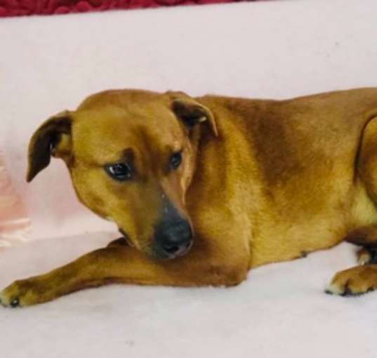Photo of Delilah