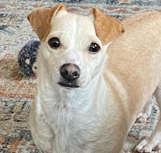 Photo of Sophie
