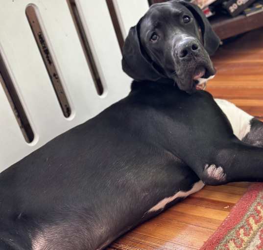 Photo of Bentley
