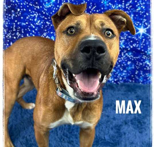 Photo of Max