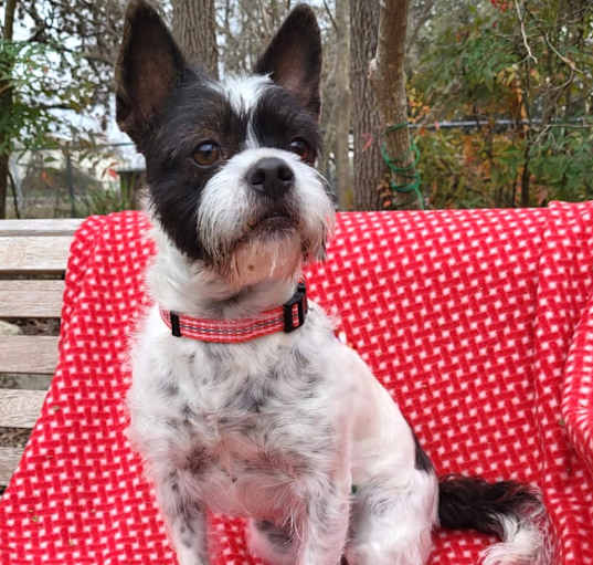 Photo of Tumble