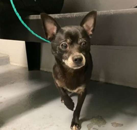 Photo of Tank